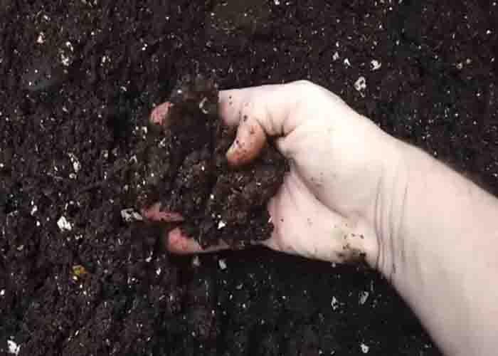 Changing the soil of your plants regularly