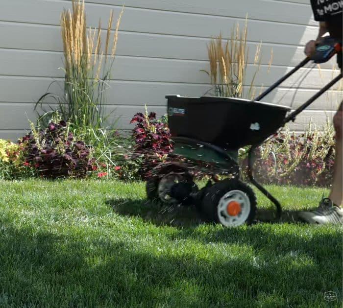 When and How to Start Fall Lawn Care Tricks