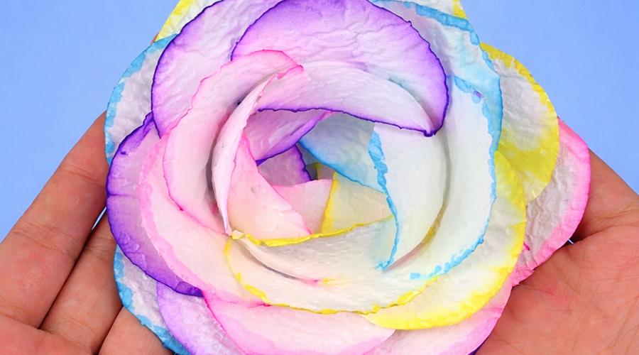 Rainbow TP flower Supplies