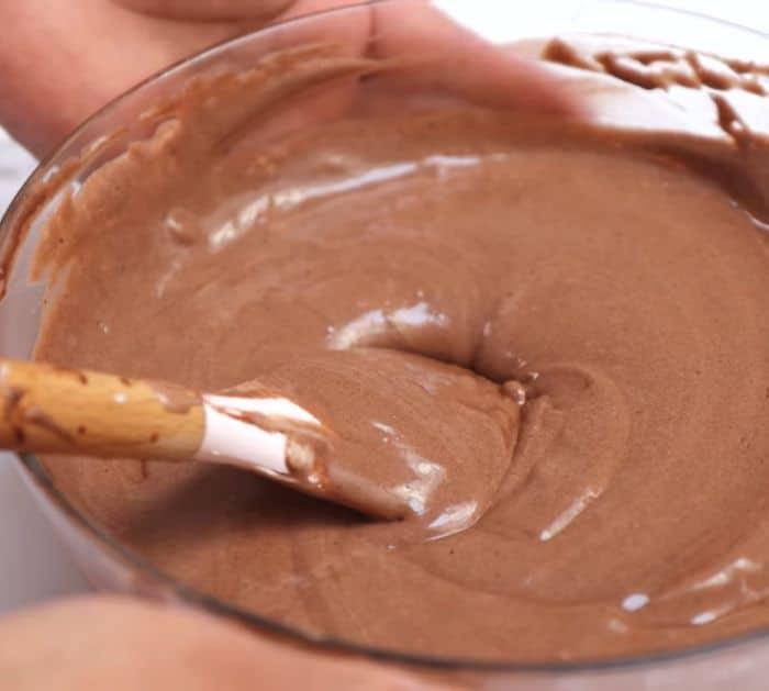 Easy Chocolate Swiss Roll Cake Recipe
