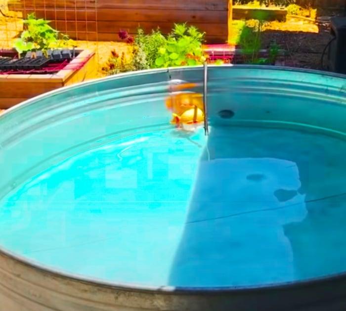 Fill A Stock Tank Up With Water To Make A Pool