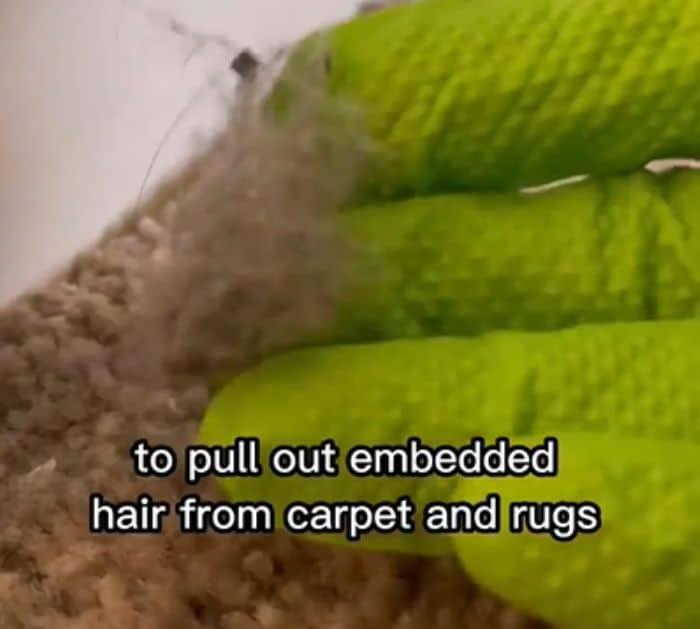 How to Get Hair Out Of Carpets