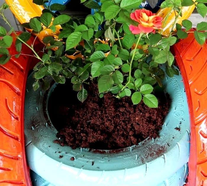 Easy Tire Planter Tutorial