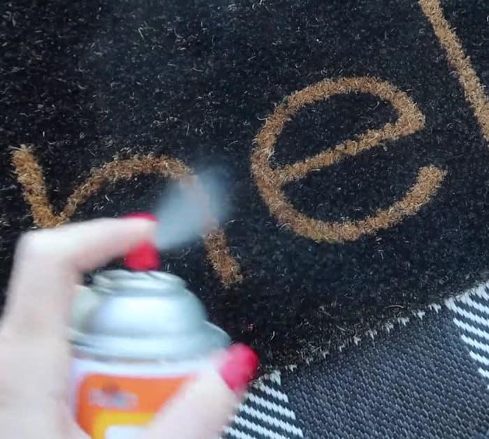 Easy Rug Cleaning Hack