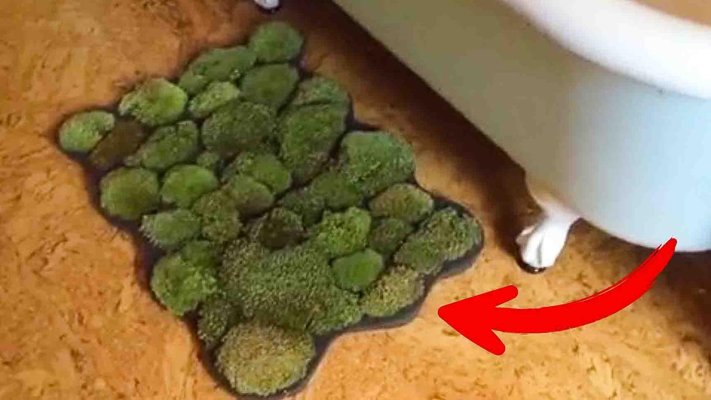 DIY Moss Bath Mat Tutorial