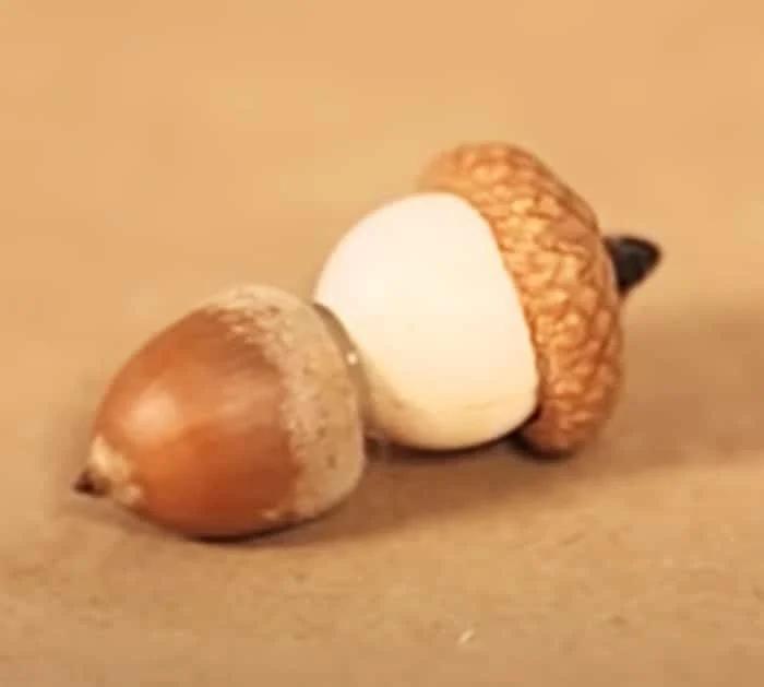 Fairy Garden Ideas - Thanksgiving Decor - Kids DIY Project