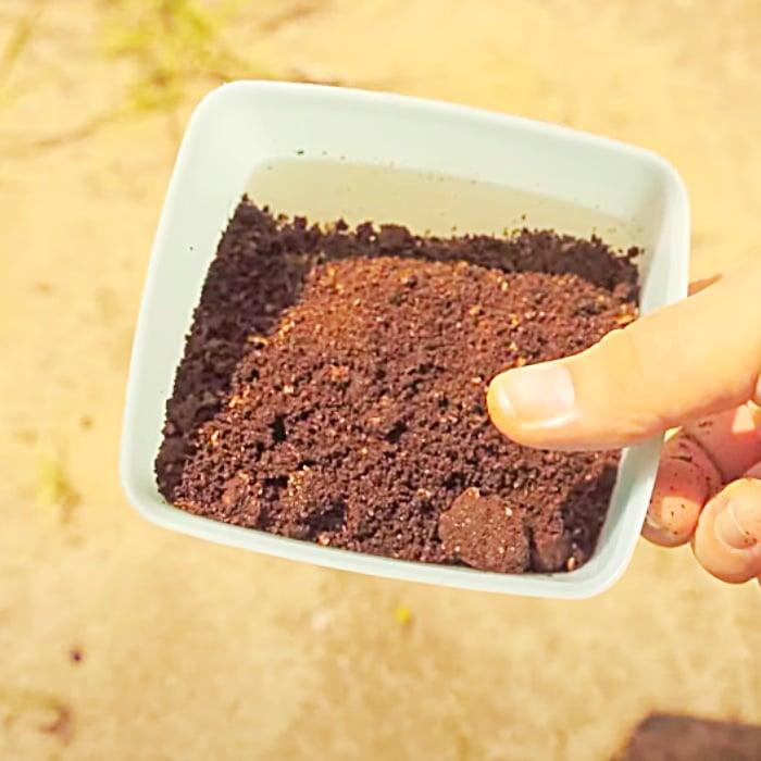 Kill Ants With Sugar And Baking Soda - Easy Way To Kill Ants - Kill Ant With Coffee Grains