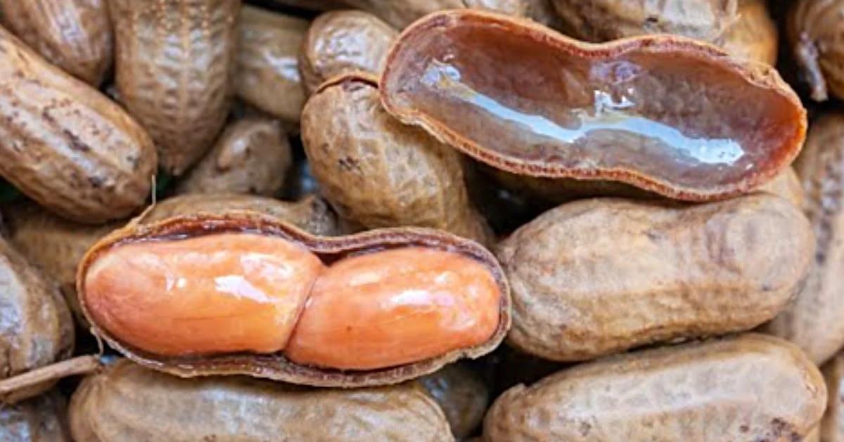Crockpot Deep South Boiled Peanuts Recipe