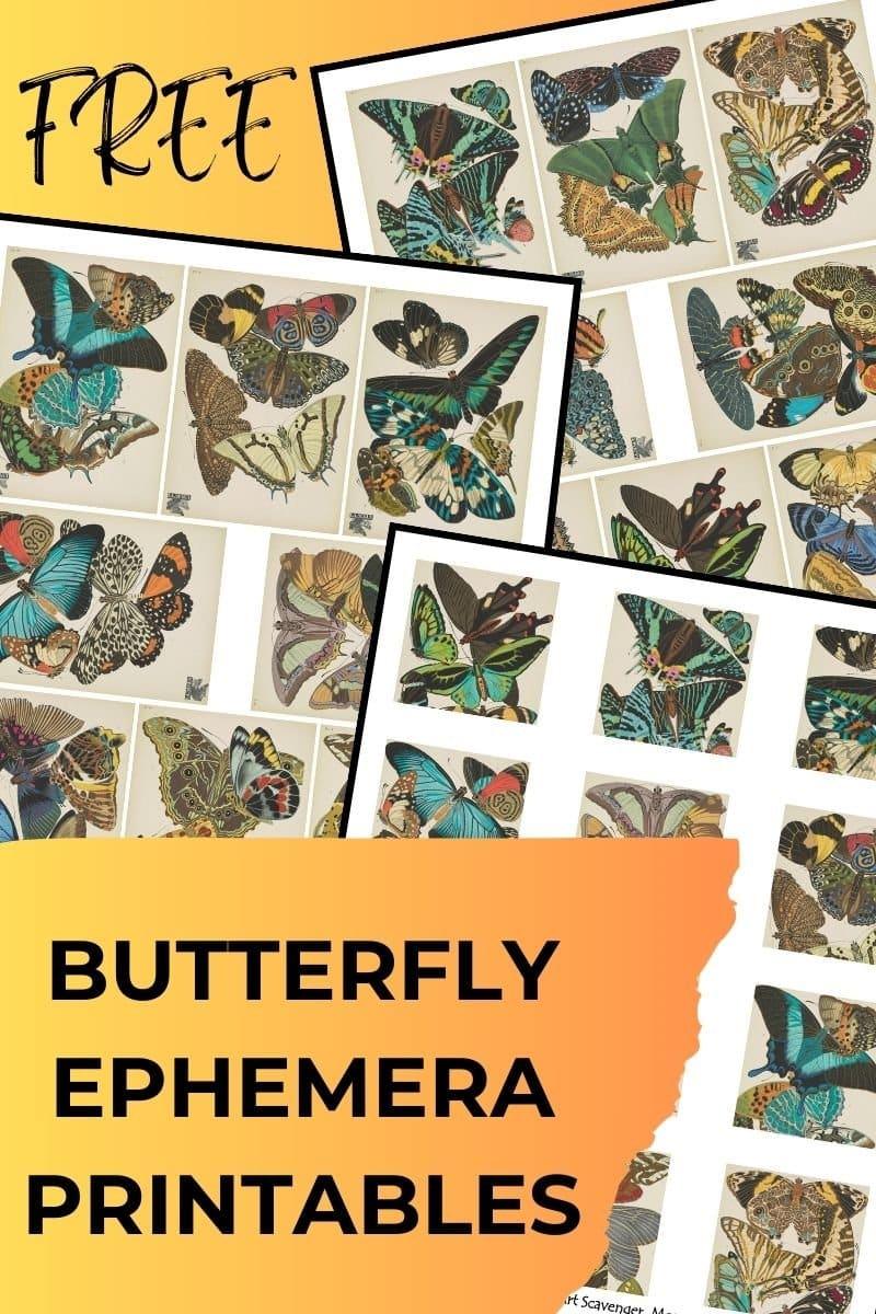 Butterfly wall art collage sheets, rows of antique butterfly illustrations printed as small cards across three overlapping