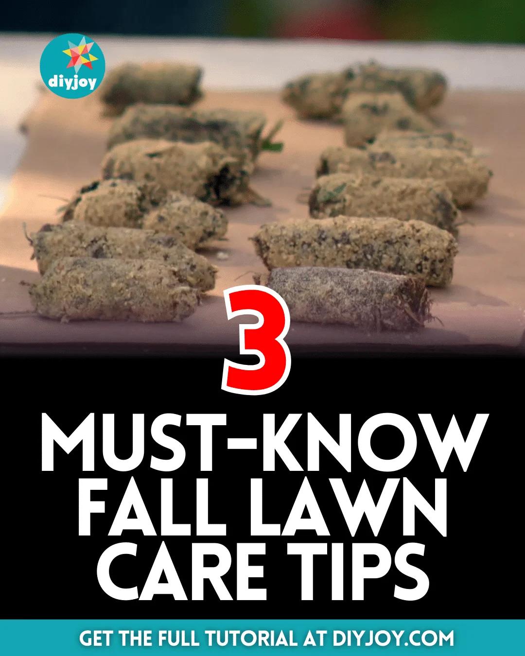 3 Must-Know Fall Lawn Care Tips
