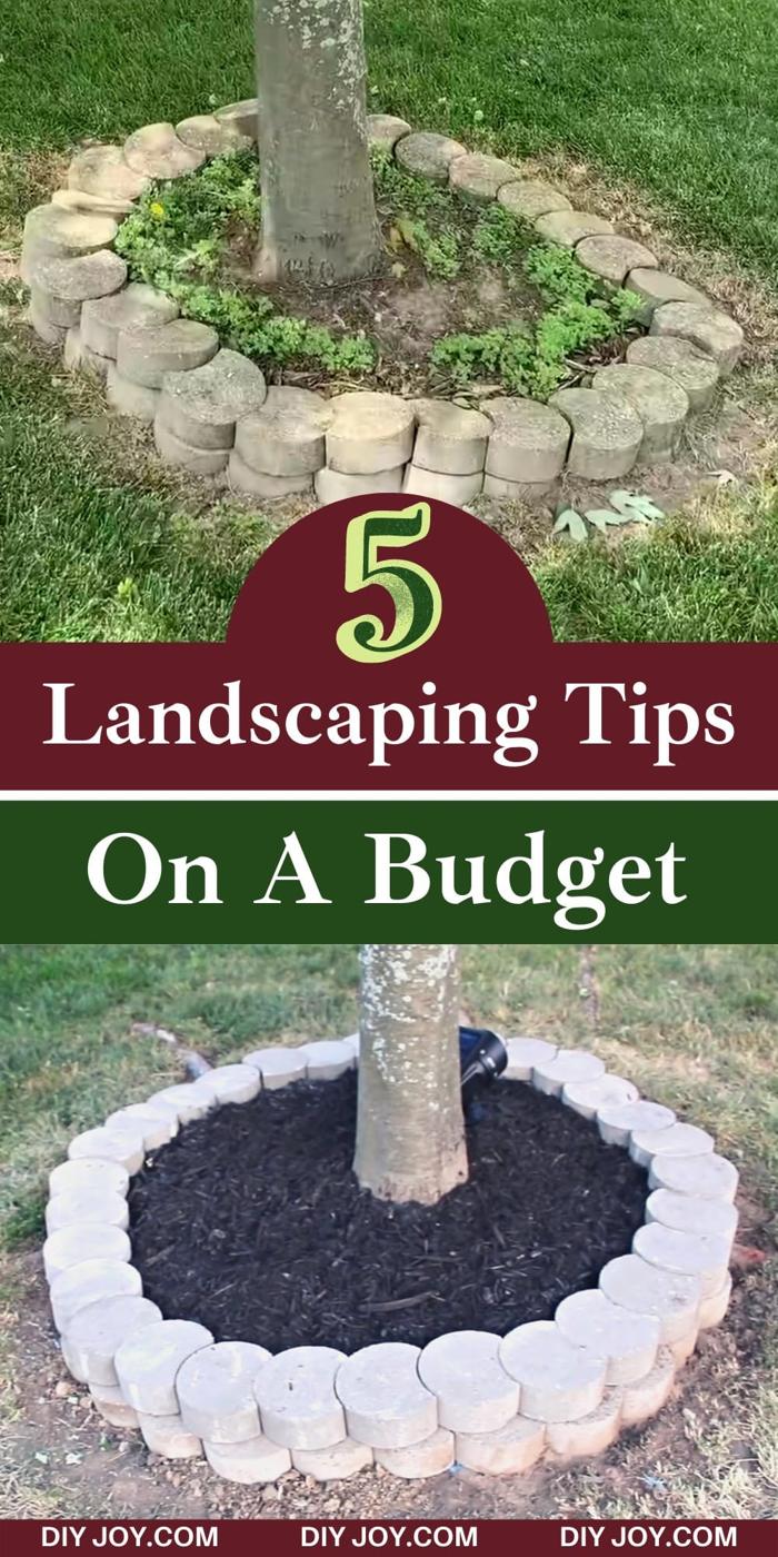 DIY Landscaping Tips On A Budget