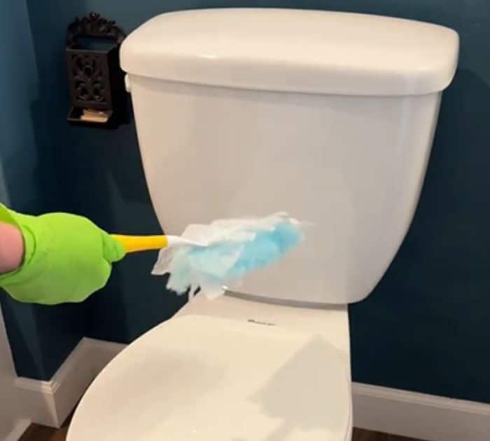 Toilet Cleaning Hack