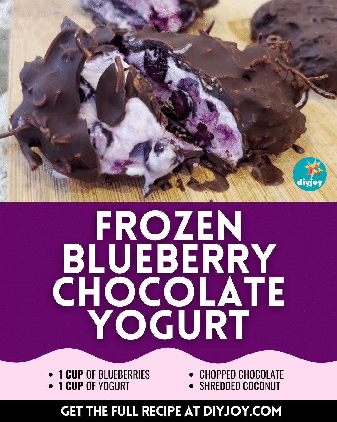 Easy Frozen Blueberry Chocolate Yogurt Recipe