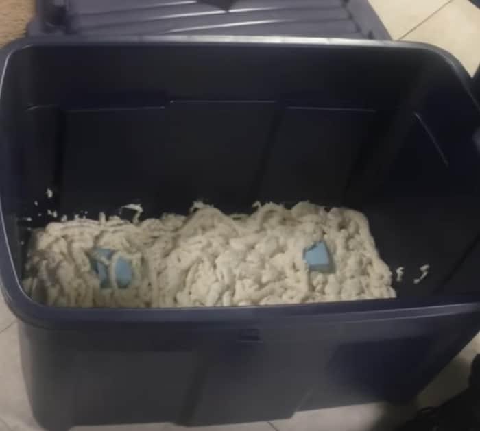 Yeti 2
