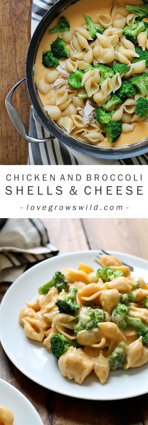 Chicken and broccoli shells and cheese in a skillet, pasta shells and florets in a cheddar sauce for a quick weeknight meal