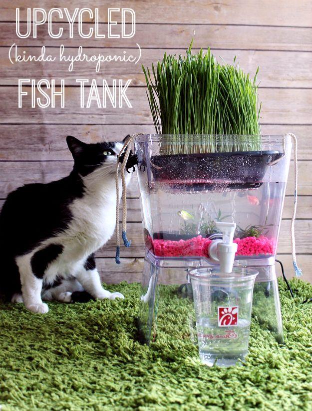 DIY aquarium made from a clear upcycled container with cat grass on top, pink gravel inside and a cat watching