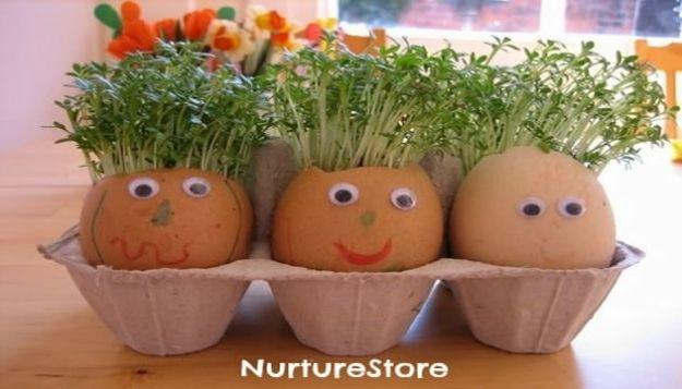 Three eggshells with drawn faces and googly eyes growing thick green cress hair, in a carton on a windowsill