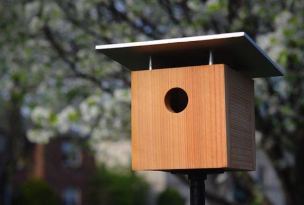 DIY Bird Houses - Make a Classic Birdhouse - Easy Bird House Ideas for Kids and Adult To Make - Free Plans and Tutorials for Wooden, Simple, Upcyle Designs, Recycle Plastic and Cre
