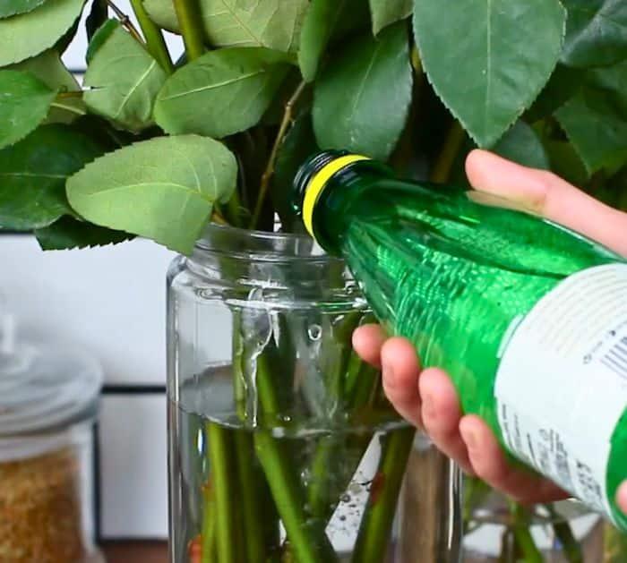Try Putting Vodka and Pennies in Your Flower Vases Tips