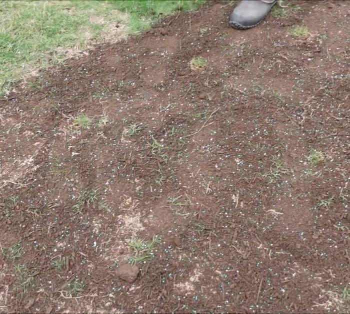 Easy Gardening Tips and Hacks