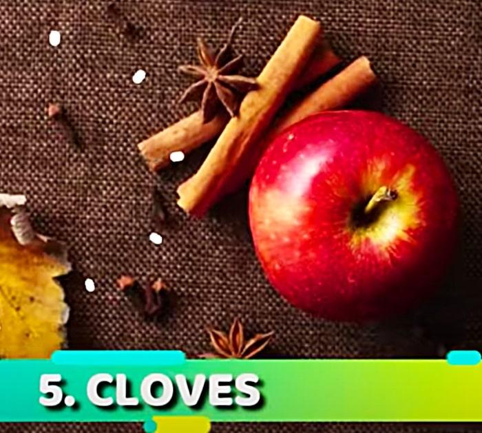 Use Cloves To Repel Mice