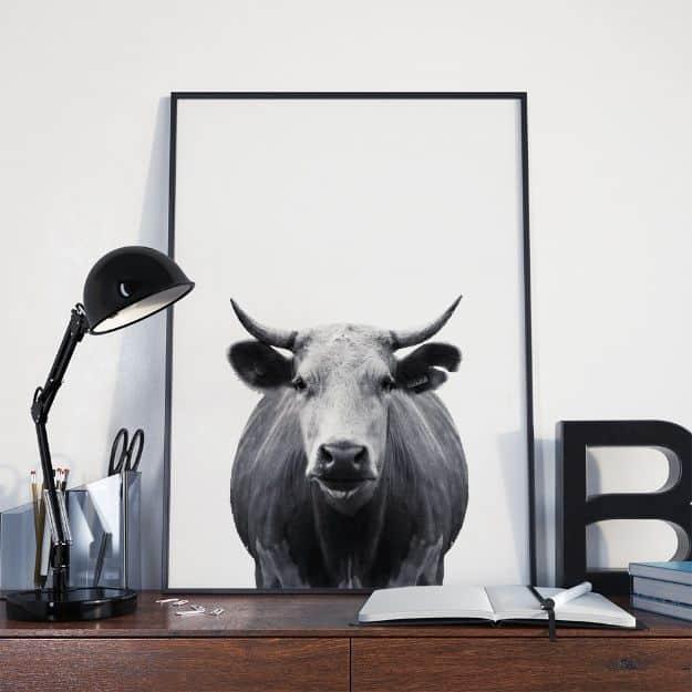 Minimal Cow Wall Art, forgiving enough to fit almost any frame and a favorite that gets compliments every time