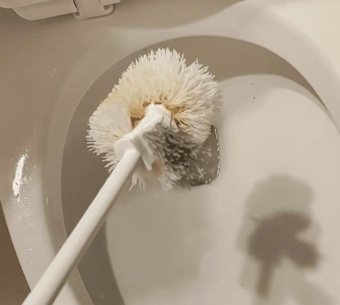Easy Way to Unclog a Toilet Without a Plunger