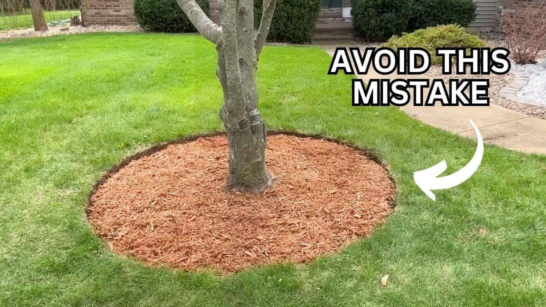 How to Get Picture-Perfect Tree Edging Easily