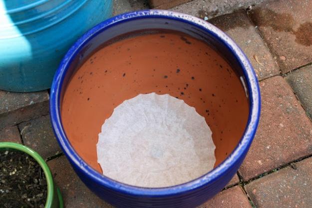 Use Coffee Filters To Line Flower Pots, a productive backyard plot, budget friendly using tools already in the shed
