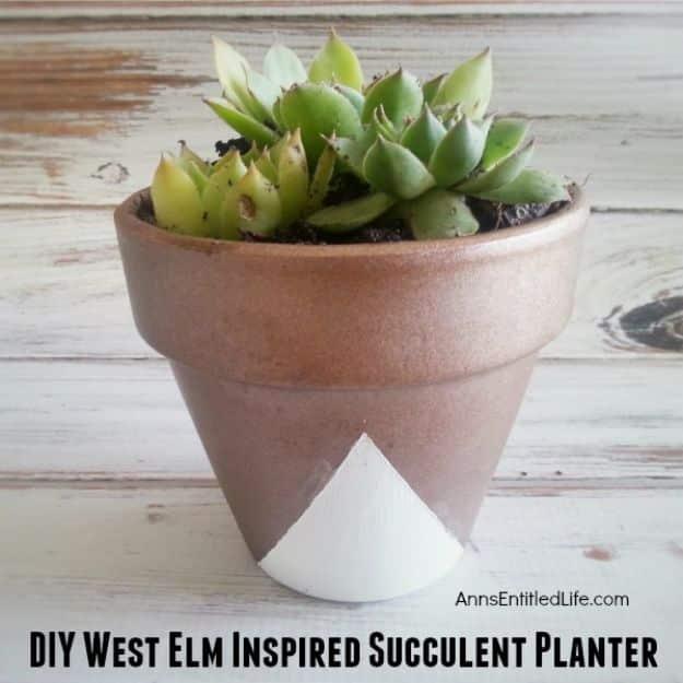 DIY Ideas for Clay Pots - DIY West Elm Inspired Succulent Planter - Cute Gardening Projects Tutorials for Decorating Pots - Pretty Rustic and Farmhouse Planters for Cheap Home Deco