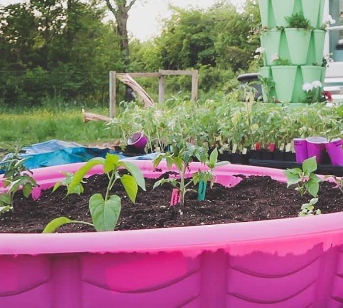 Easy To Make Kiddie Pool Raised Garden Bed