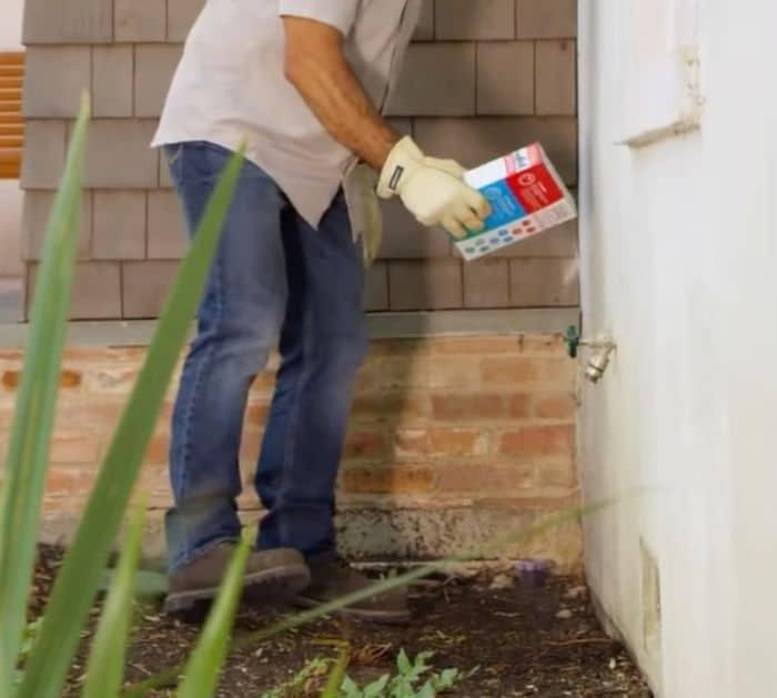 How to Get Rid of Spiders In Your House Tips