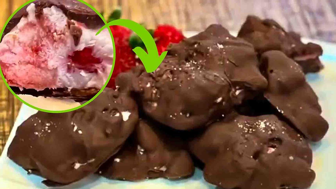 Frozen Yogurt Chocolate Strawberry Bites