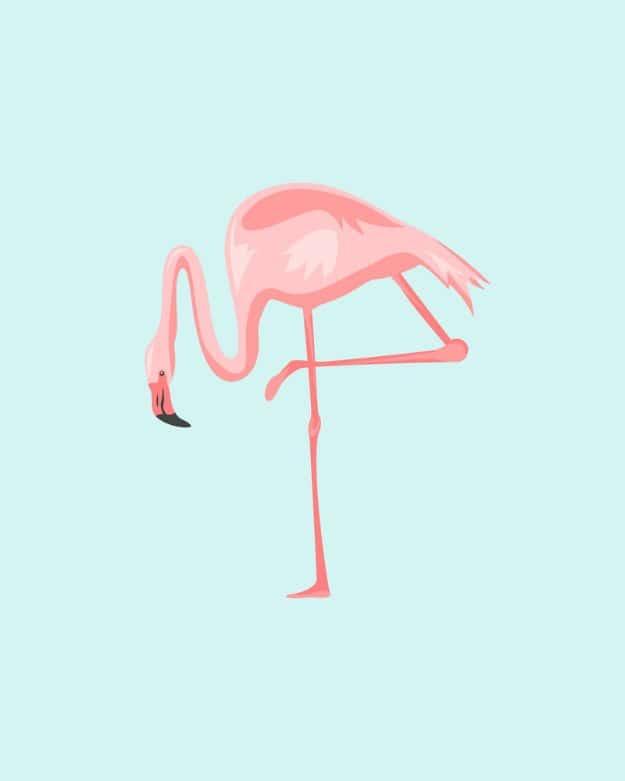 Pretty In Pink Flamingos Free Printables, no design skills needed since the file is already finished