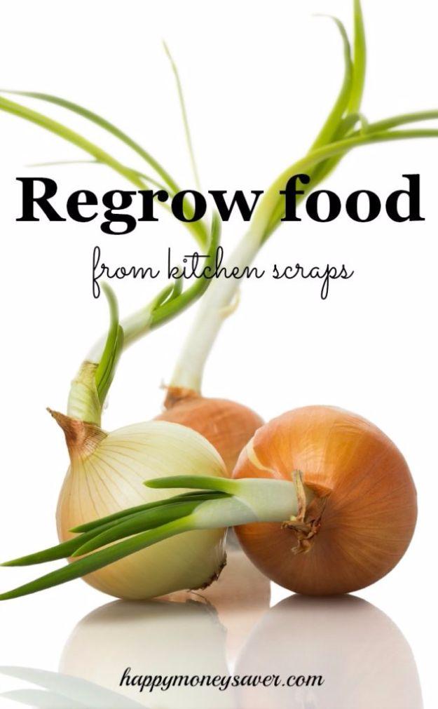 Ways to Save Money in 2018 - Regrow Food from Scraps - Easy Money Saving Ideas and Tips for Budgeting - Cool Idea for Budget Planning and Smart Financial Advice for Beginners - Cre