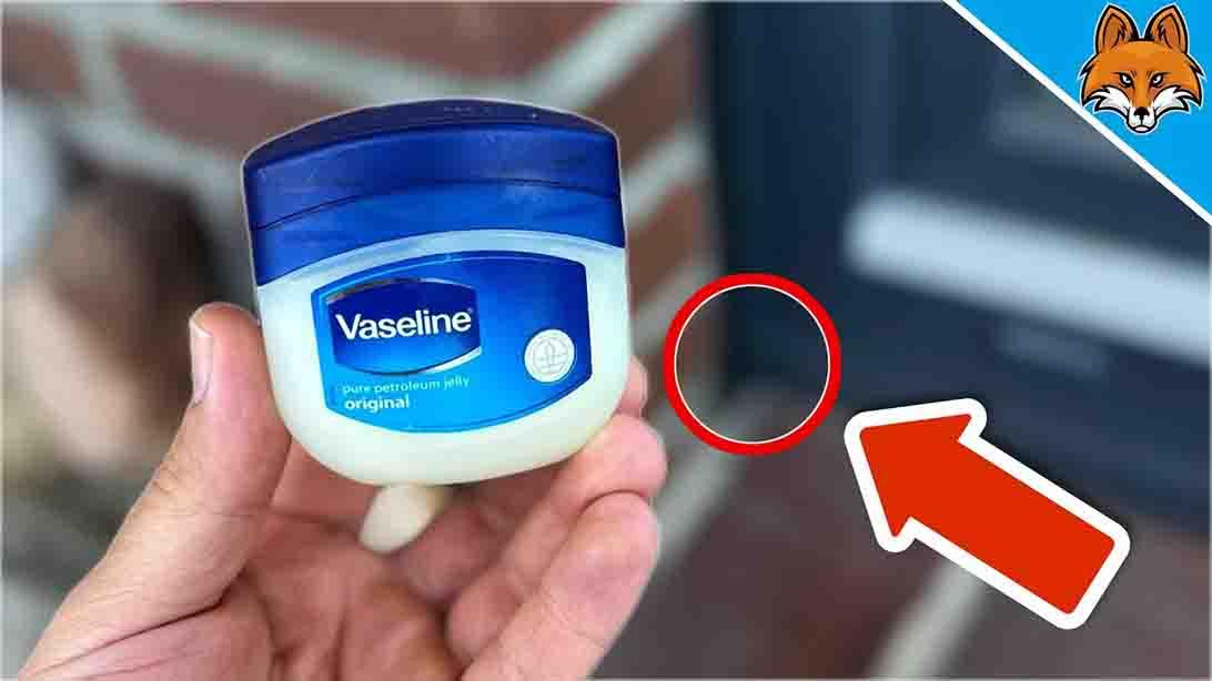 DIY Ant Repellant For Your Home