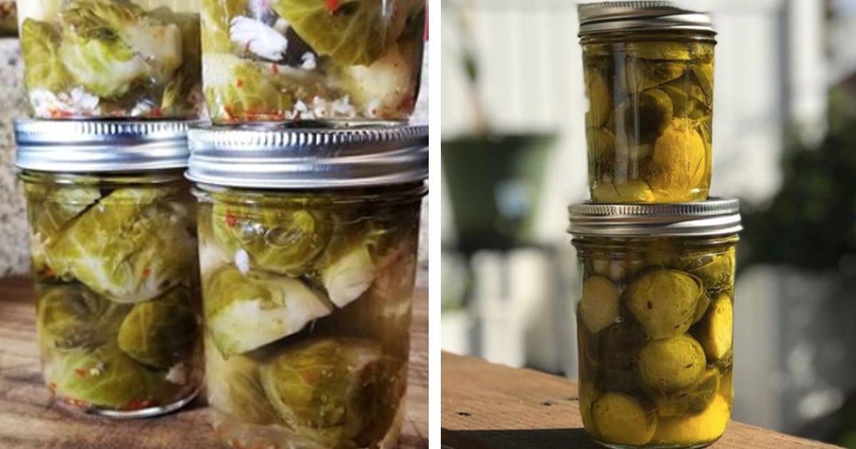 Pickled Brussel Sprouts Recipe