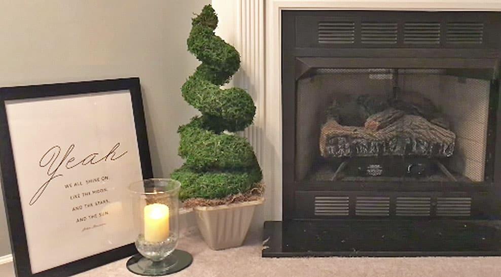 You Don’t Need A Green Thumb To Make This Dollar Store Topiary