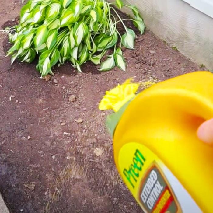 DIY Rock Garden Bed - Easy Garden Ideas - How To Make A Garden Bed