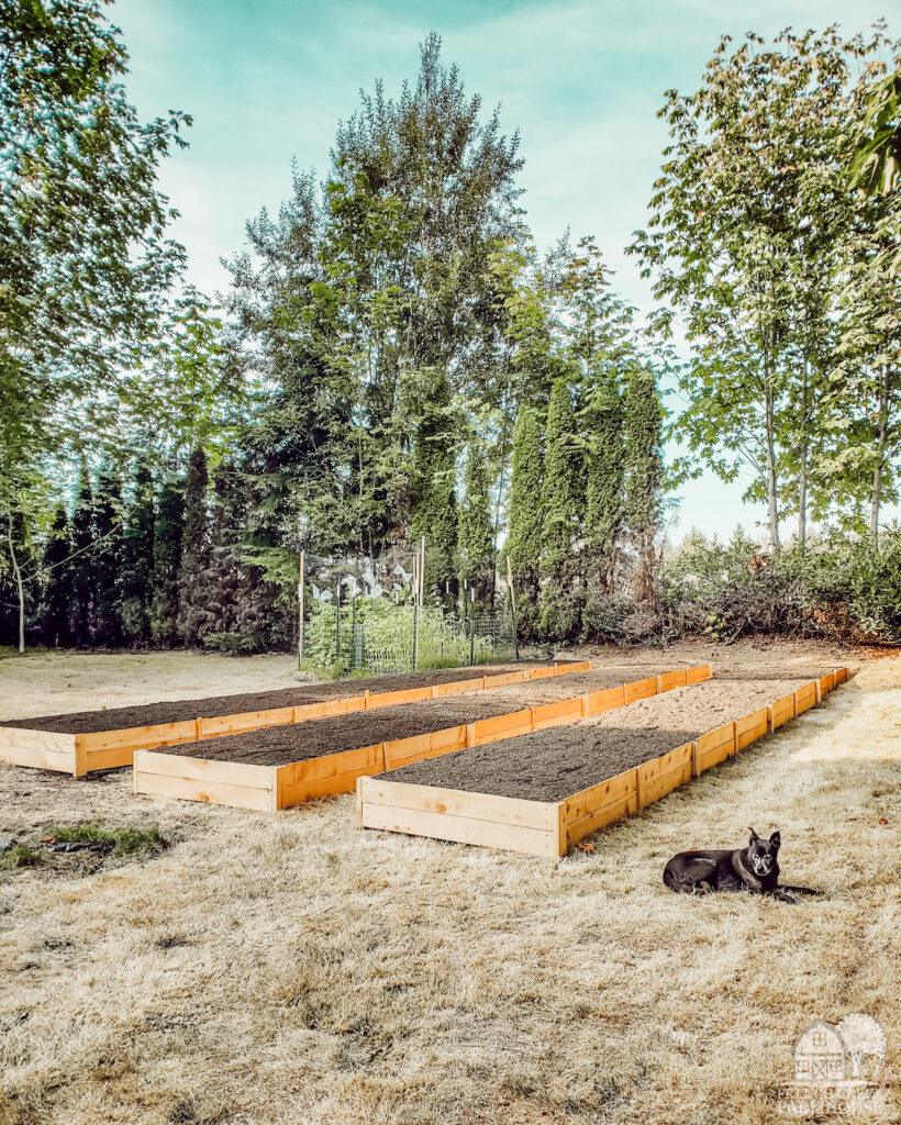 Simple Wood Raised Garden Beds, one of the best raised garden bed ideas on this list and a favorite pick from this list