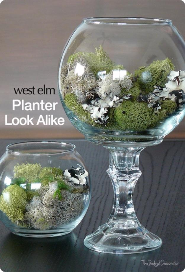 Dollar Store Terrariums, gentle on the wallet even making a matching pair and a touch that upgrades a plain corner instantly