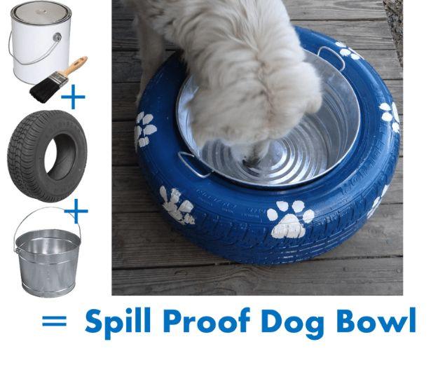 Royal blue painted tire with white paw prints holding a galvanized water bucket with a white dog drinking from it