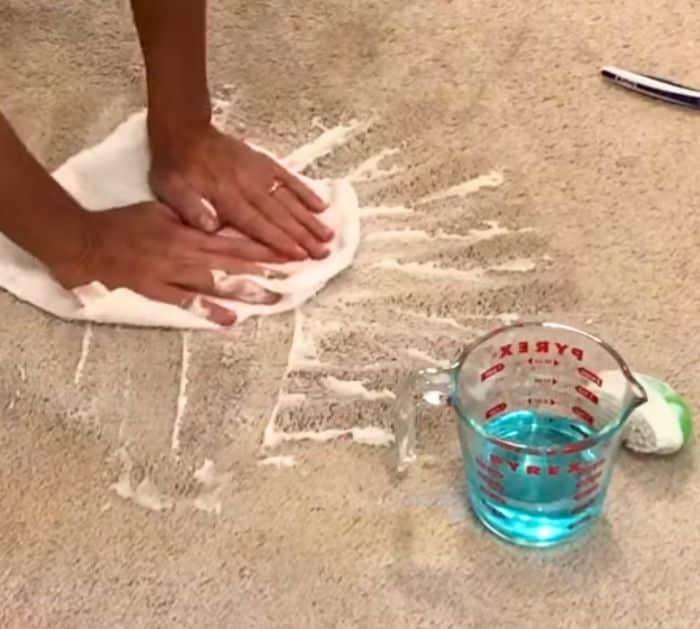 DIY Carpet Stain Remover for Pennies Instructions