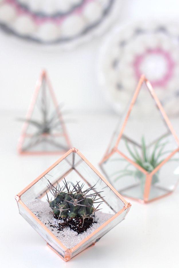 Copper edged geometric glass terrariums holding air plants and a cactus, a beginner DIY home decor project