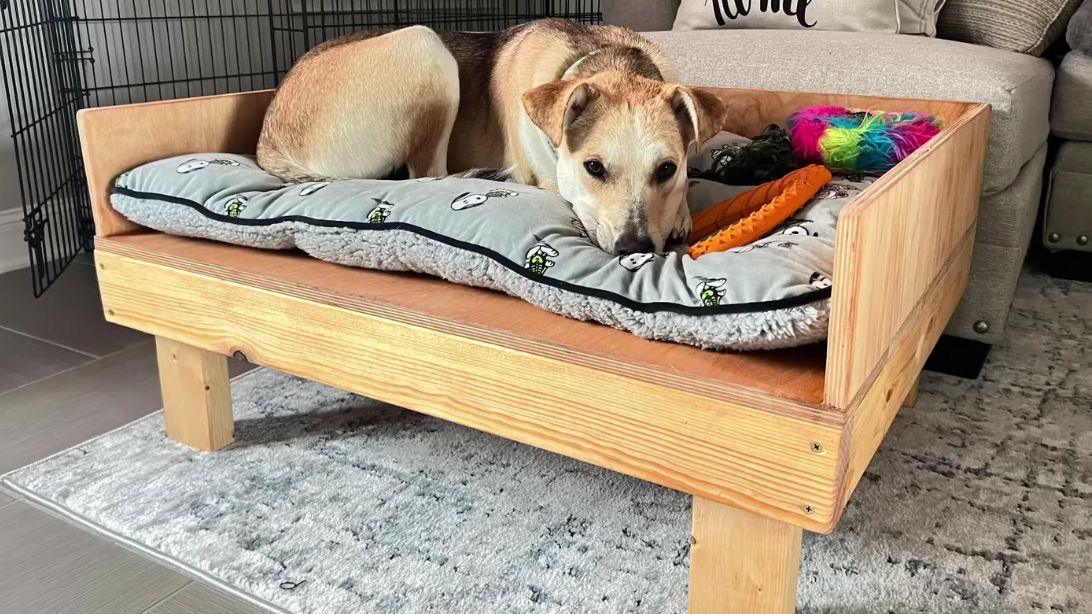 Learn How to Build a Dog Bed in 60 Seconds