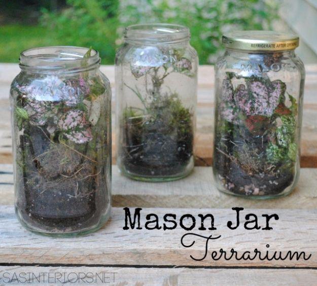 Mason jar terrarium, three clear mason jars layered with pebbles dark soil and green moss and small plants on grey wood