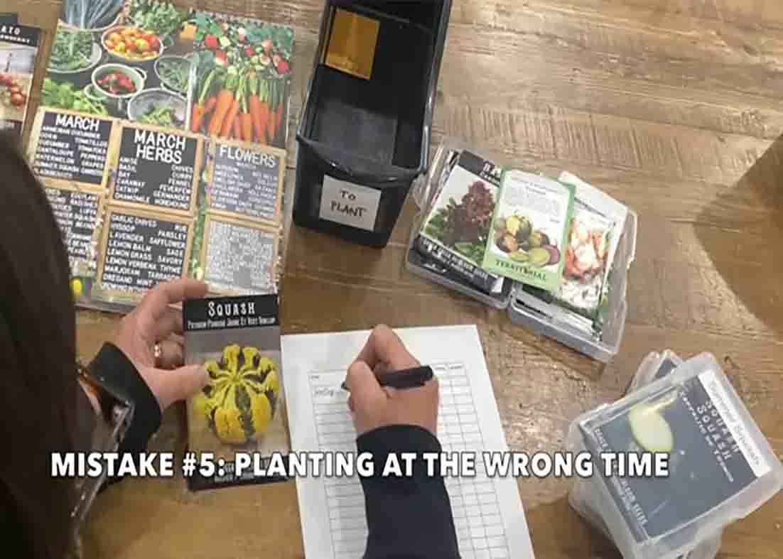 Knowing the crops you want to plant before planting them on your garden