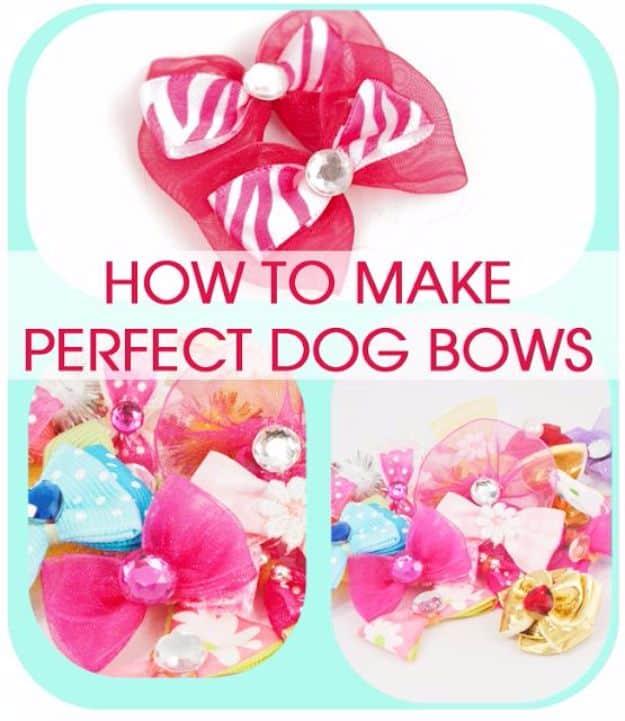 DIY Dog Grooming Tutorials - How to Make Dog Bows - Cool and Easy Ways to Wash, Groom and Style Your Pets Fur - Trim Toenails, Brush Teeth, Bath, Trim and Clip Dogs Fur - Hair - Re