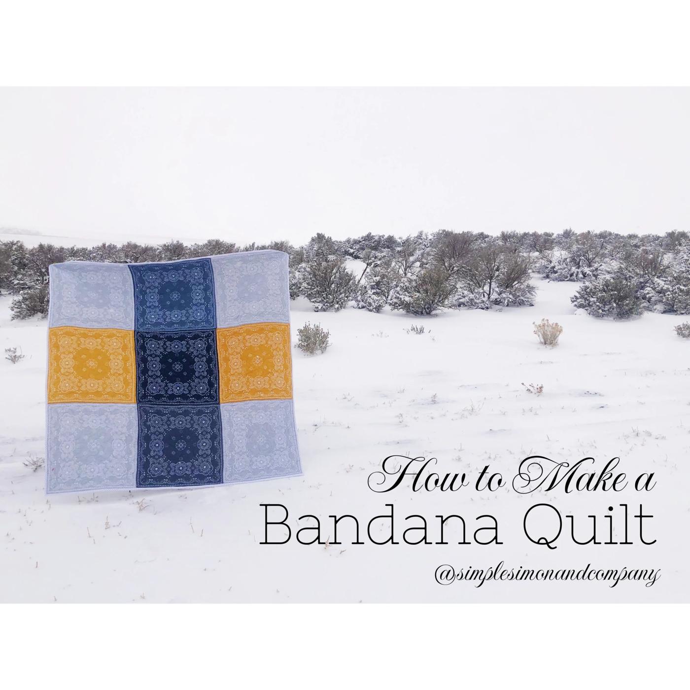 Bandana nine patch quilt graphic, pale blue, navy and gold squares held up flat against snowy sagebrush