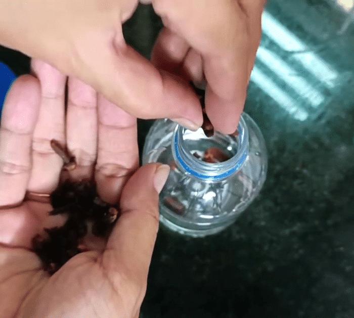 What You Need for a DIY Insect Repellent